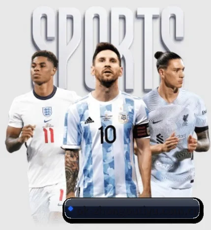 五个功能入口,赛程查询路径更短 - 多运动项目内容板块 - zotysports